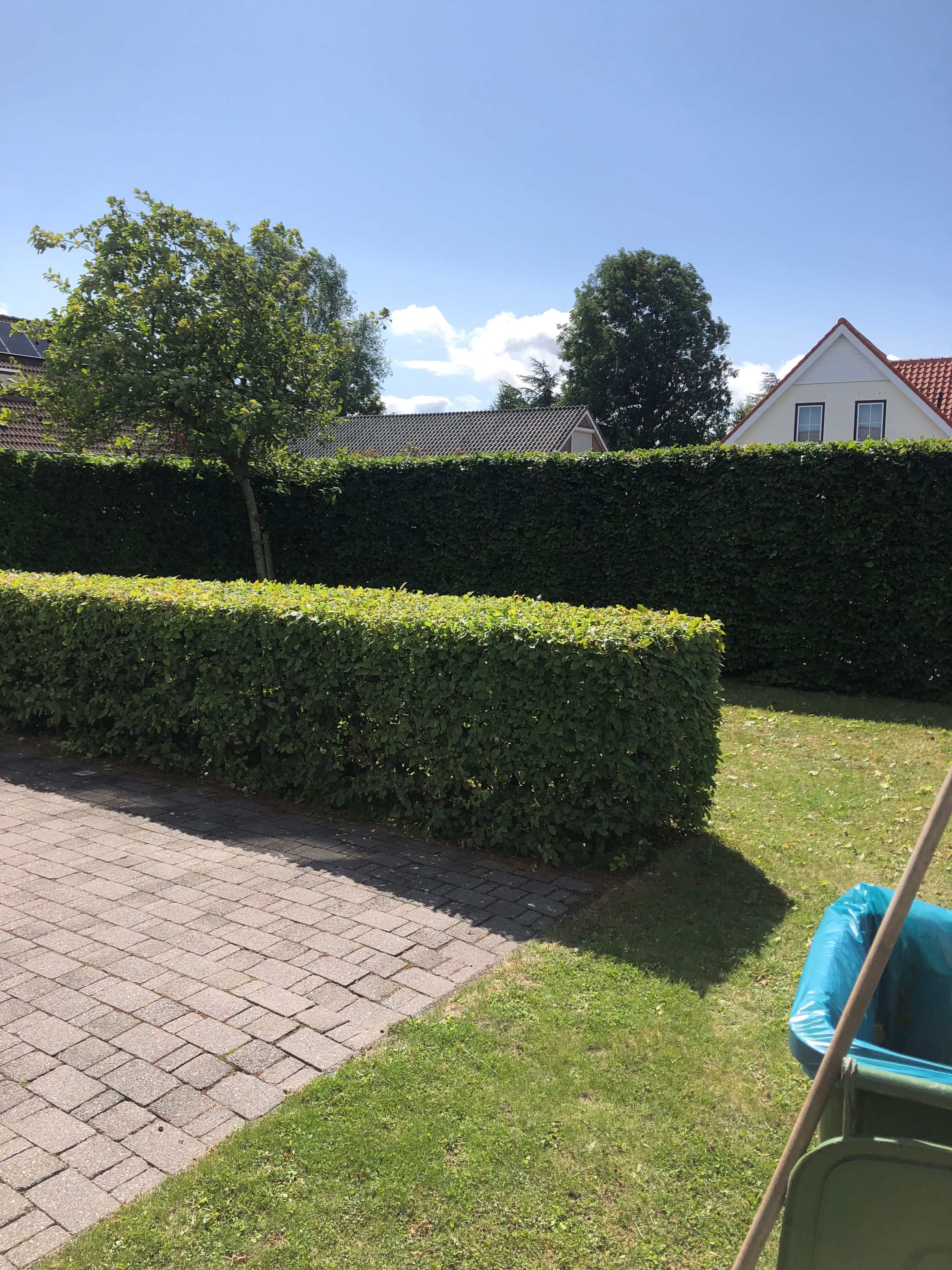 Tuinonderhoud